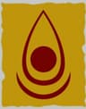 BSDS Logo